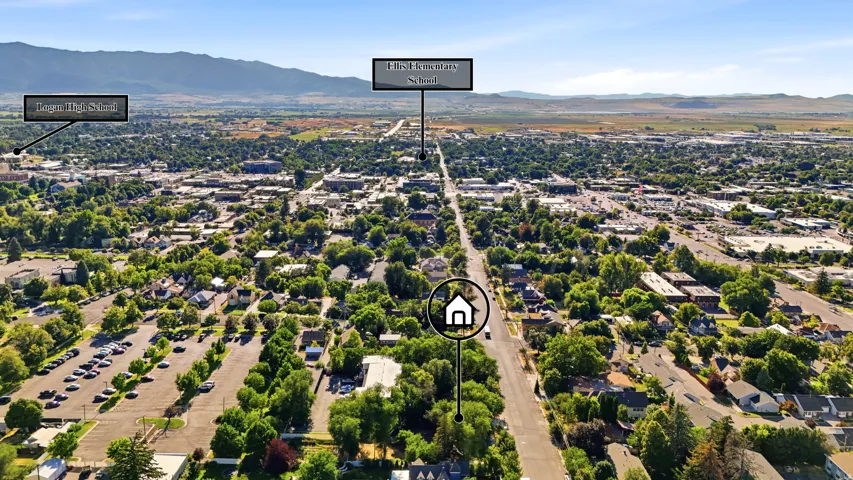 Aerial perspective showcasing a verdant urban landscape with residential and commercial structures