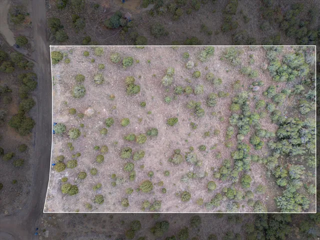 Expansive rectangular parcel featuring natural vegetation and a dirt road bordering one side
