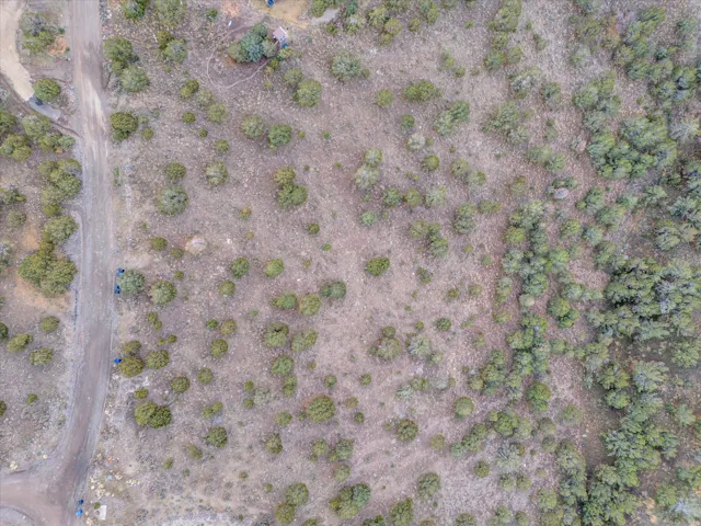 Expansive undeveloped land featuring natural foliage and a dirt road