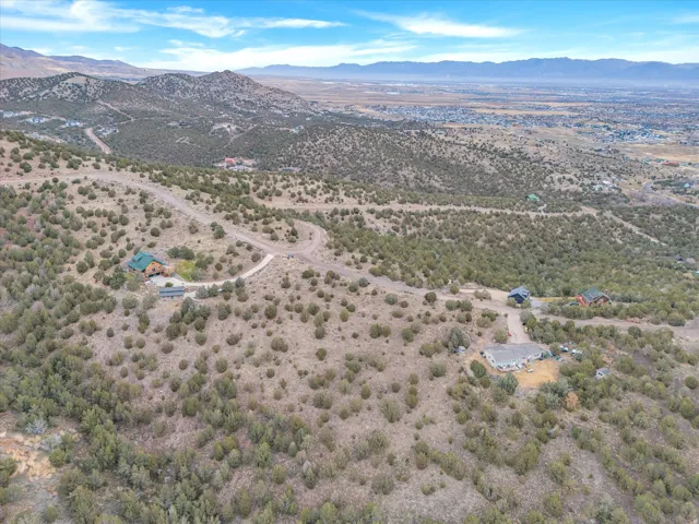 Expansive lot featuring a natural, undeveloped landscape with scattered evergreen trees and a visible dirt road