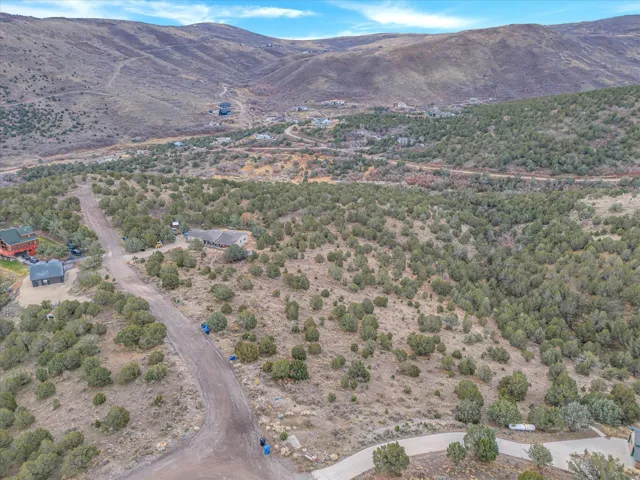 Expansive undeveloped land featuring natural foliage and a dirt road entrance