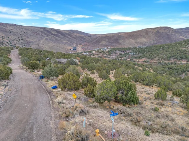 Unpaved road ascending a hillside, surrounded by abundant natural vegetation