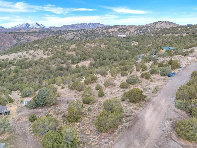 Expansive natural landscape featuring scattered evergreen trees and a dirt road