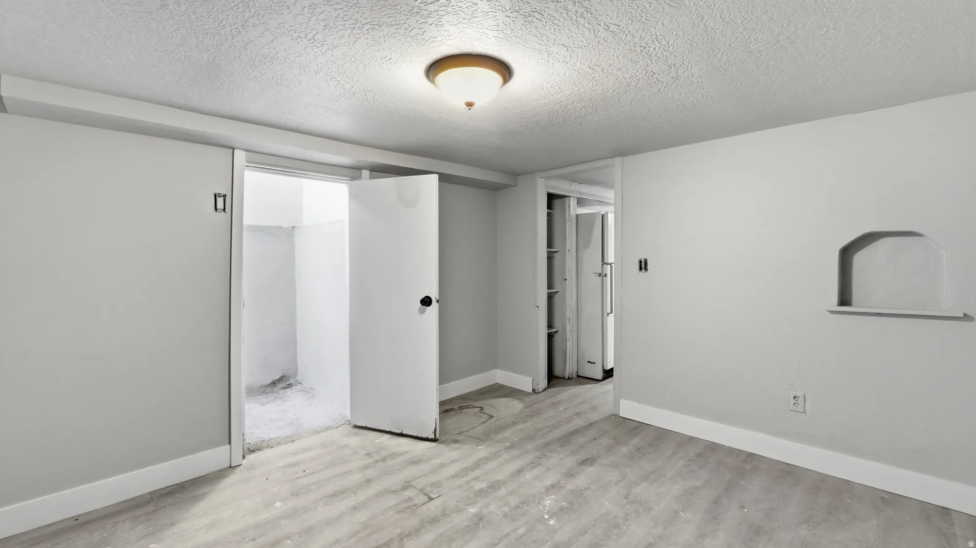 Light wood-finish flooring, ceiling-mounted light fixture, recessed wall niche, and two doorways