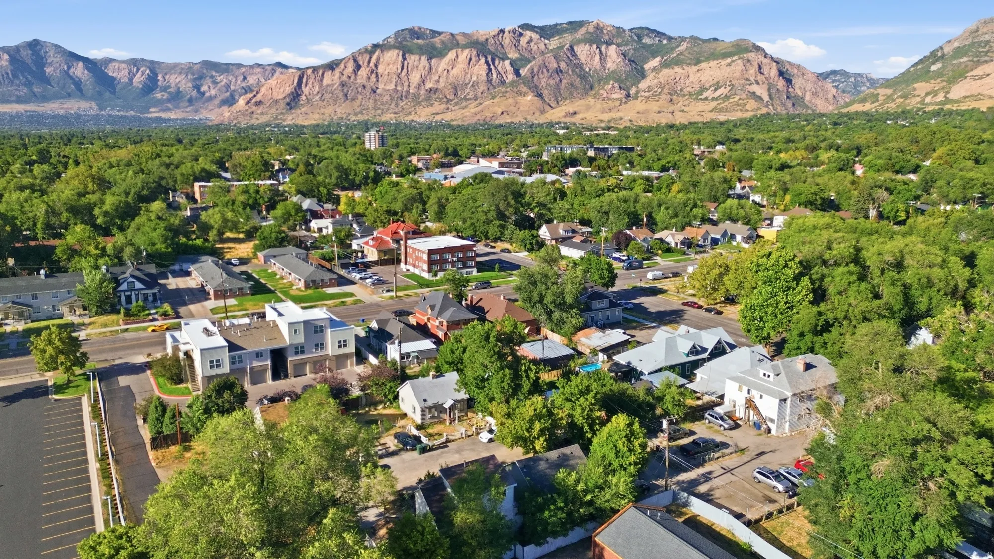 Aerial perspective of a verdant residential area featuring mature tree canopies and established homes