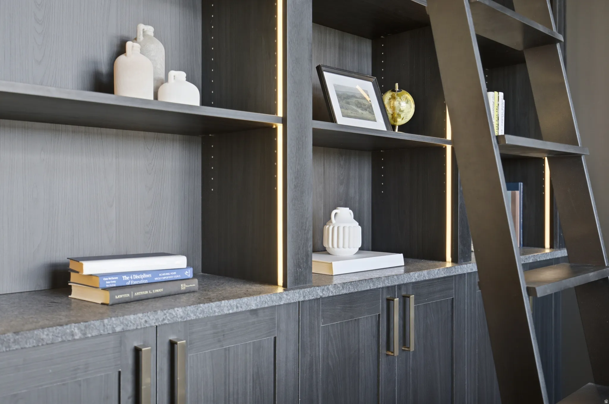 Built-in cabinetry featuring a dark wood-finish, integrated lighting, and a rolling ladder