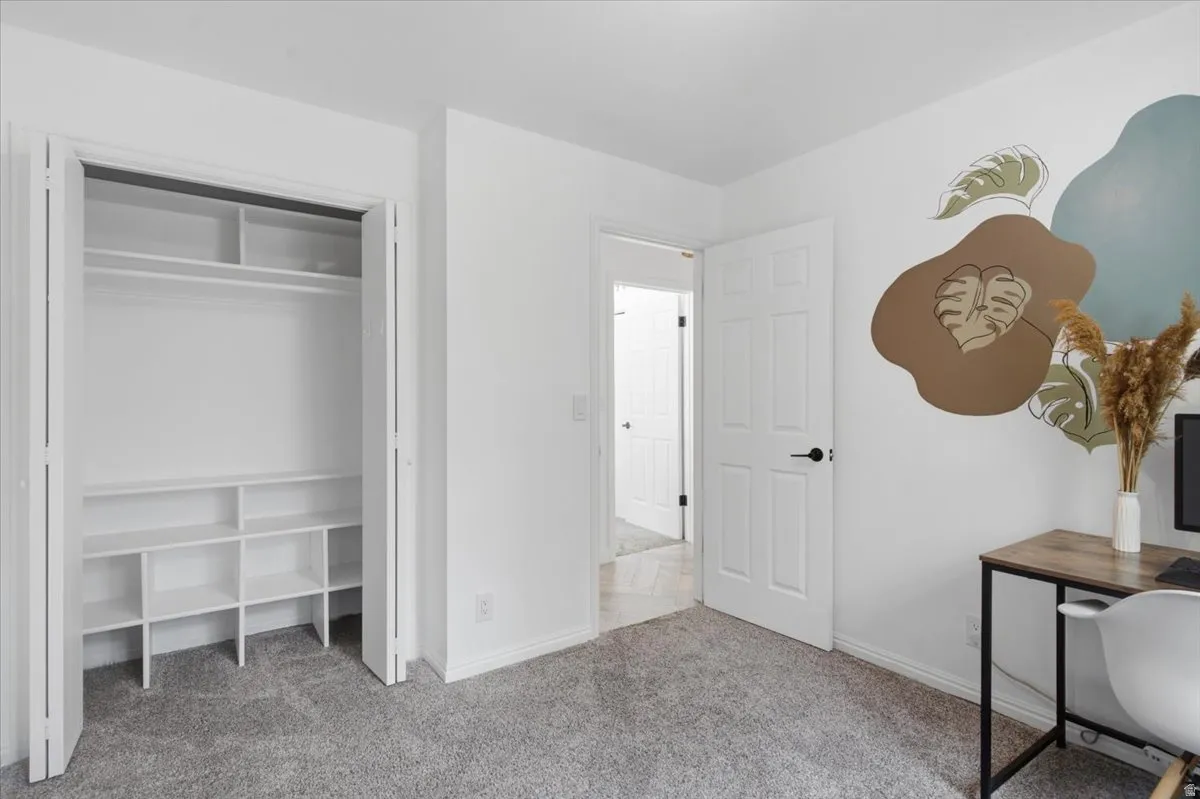 Light-filled room featuring plush gray carpet, white walls, and a built-in closet organization system