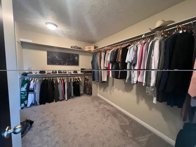 Expansive master walk-in closet featuring carpet flooring, built-in shelving, and extensive clothing rods