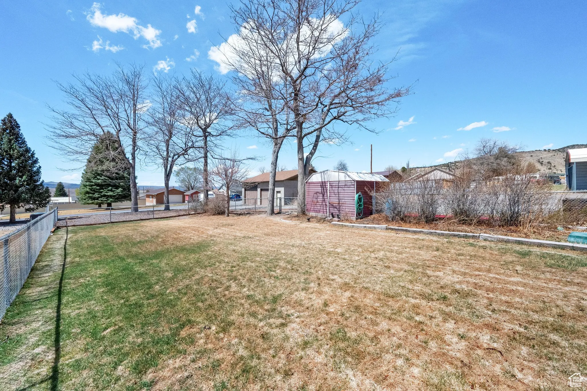 Expansive lawn area featuring mature deciduous trees and a chain-link fence