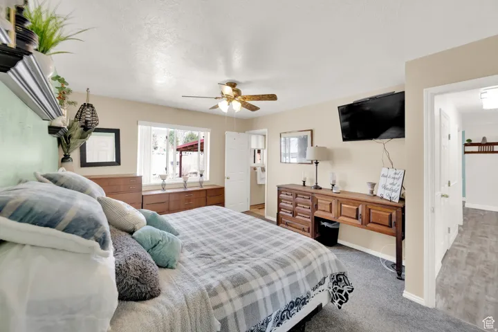 Bedroom featuring plush carpet flooring, a ceiling fan with integrated lighting, and a large window providing natural light