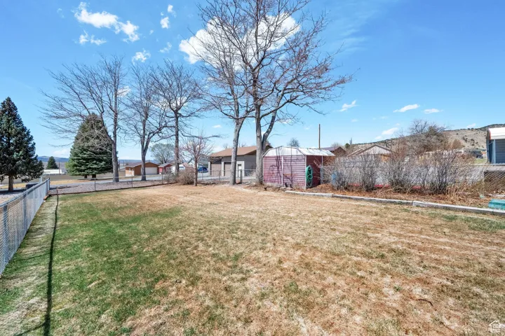 Expansive lawn area featuring mature deciduous trees and a chain-link fence