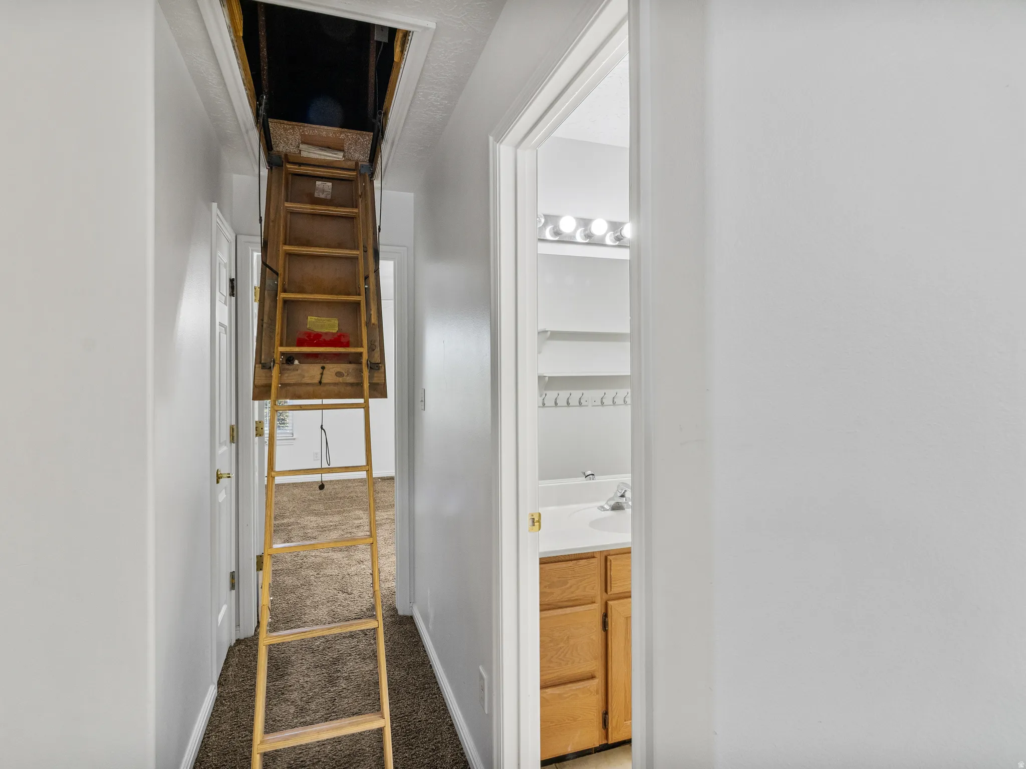 Hallway with attic access ladder, carpet flooring, and white walls