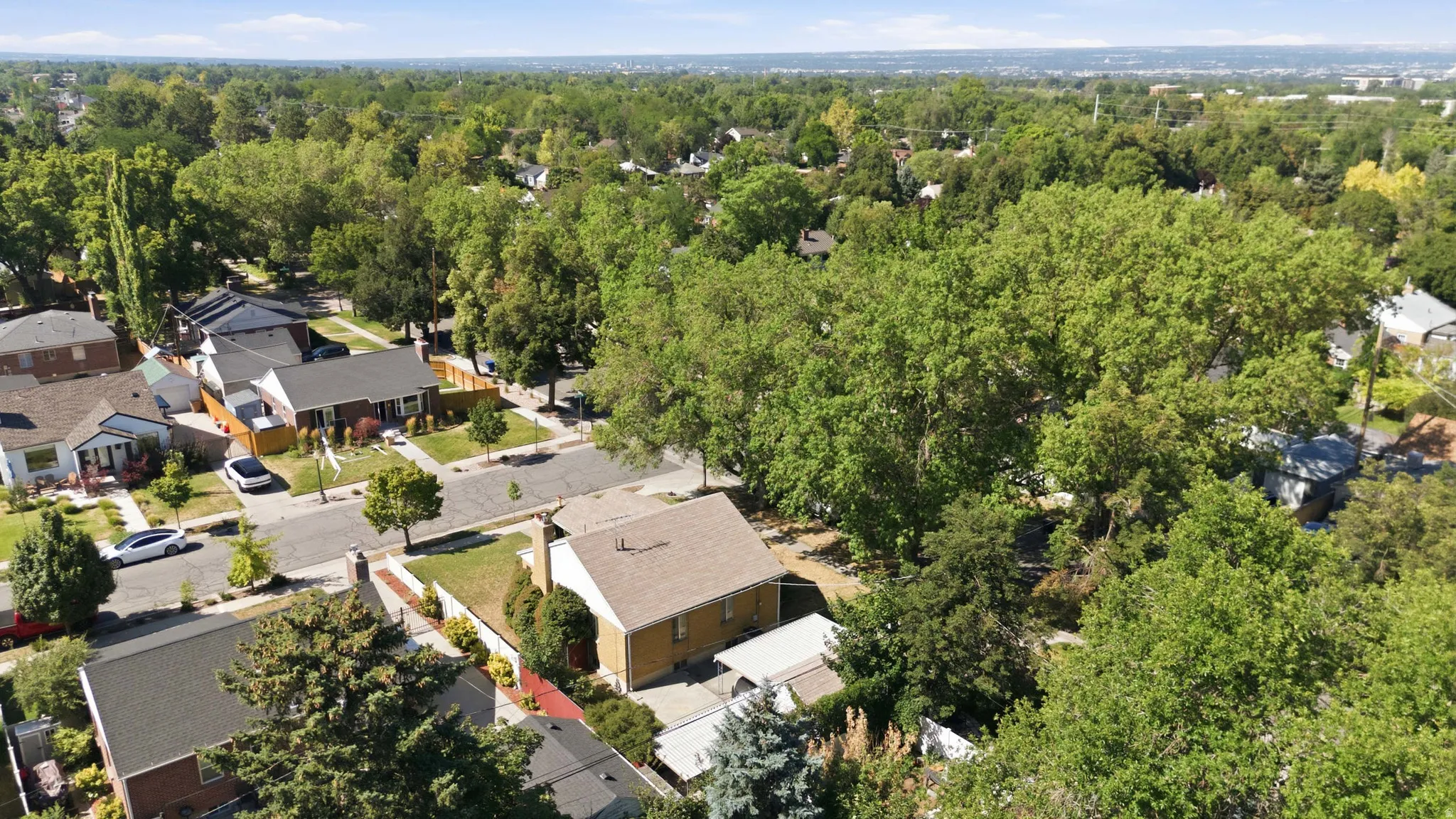 Aerial perspective showcasing a residential neighborhood with a dense tree canopy