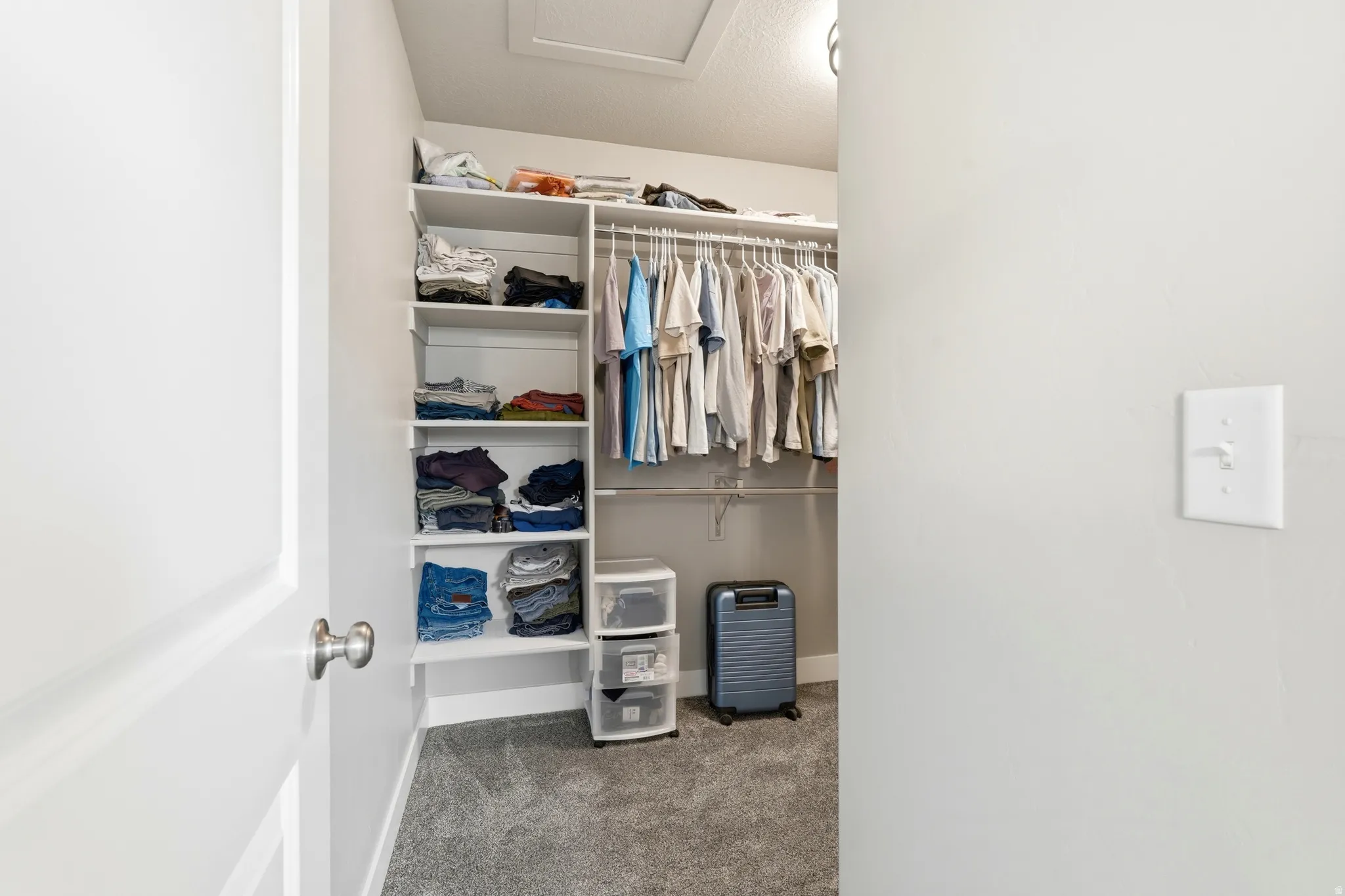 Walk-in closet with built-in shelving, hanging rods, and grey carpet flooring
