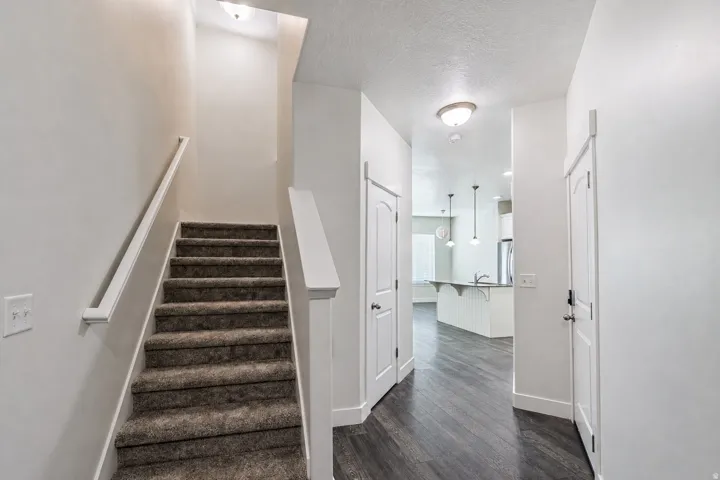 Carpeted staircase with white handrail and baseboards