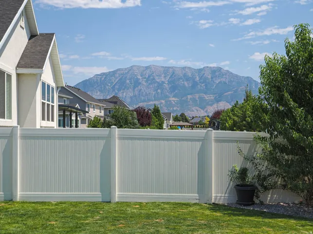 Mountain view from the back patio