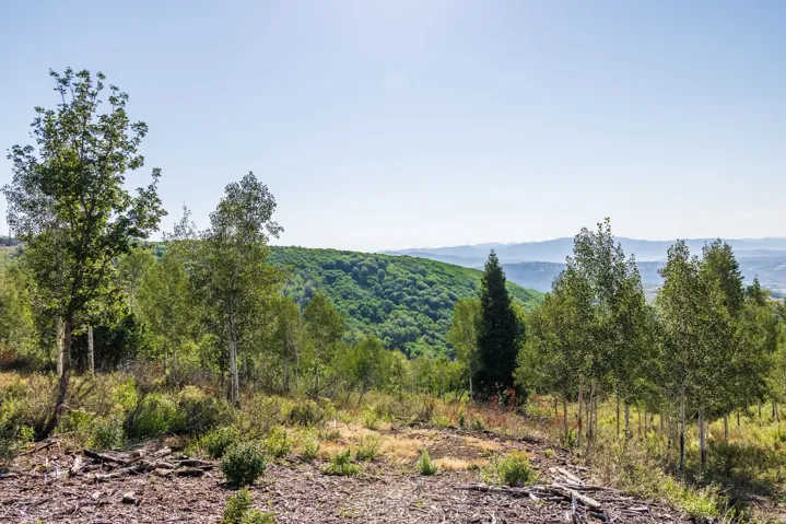 543 Upper Cove Rd, Park City, Utah 84098