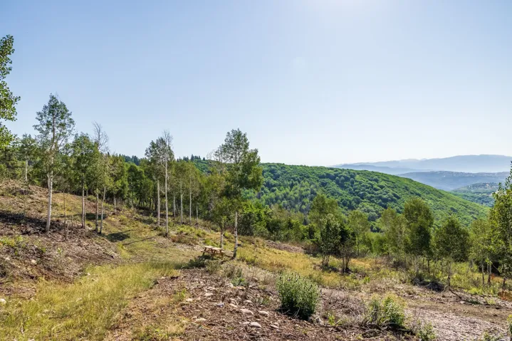 543 Upper Cove Rd, Park City, Utah 84098