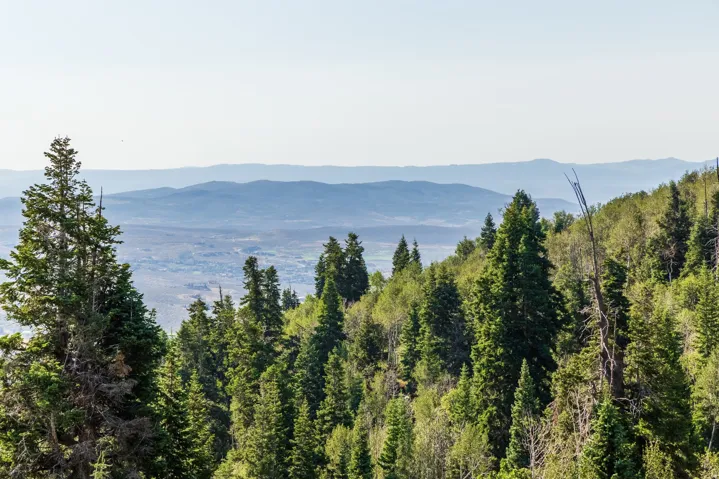 543 Upper Cove Rd, Park City, Utah 84098