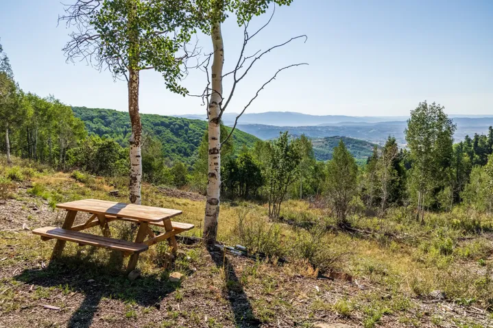 543 Upper Cove Rd, Park City, Utah 84098