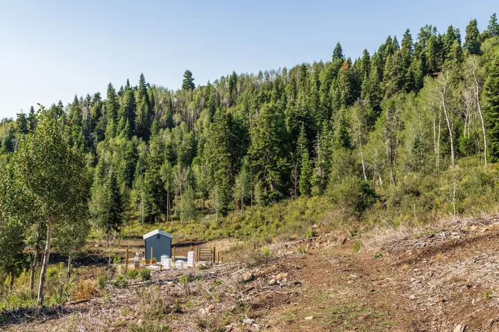 543 Upper Cove Rd, Park City, Utah 84098