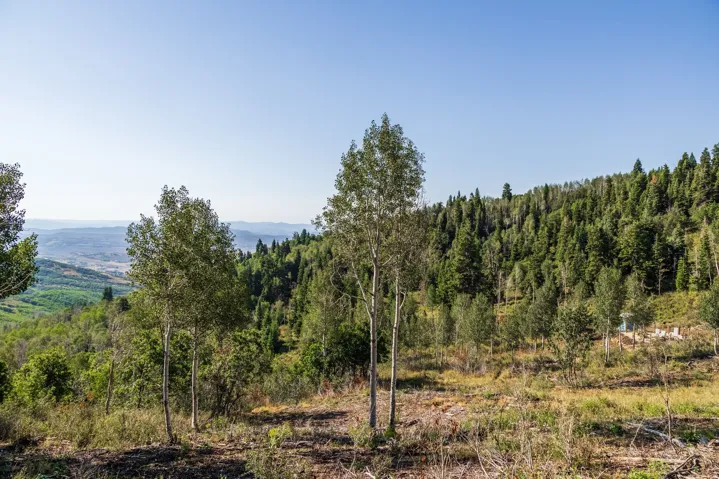543 Upper Cove Rd, Park City, Utah 84098
