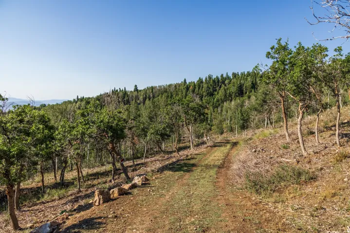 543 Upper Cove Rd, Park City, Utah 84098