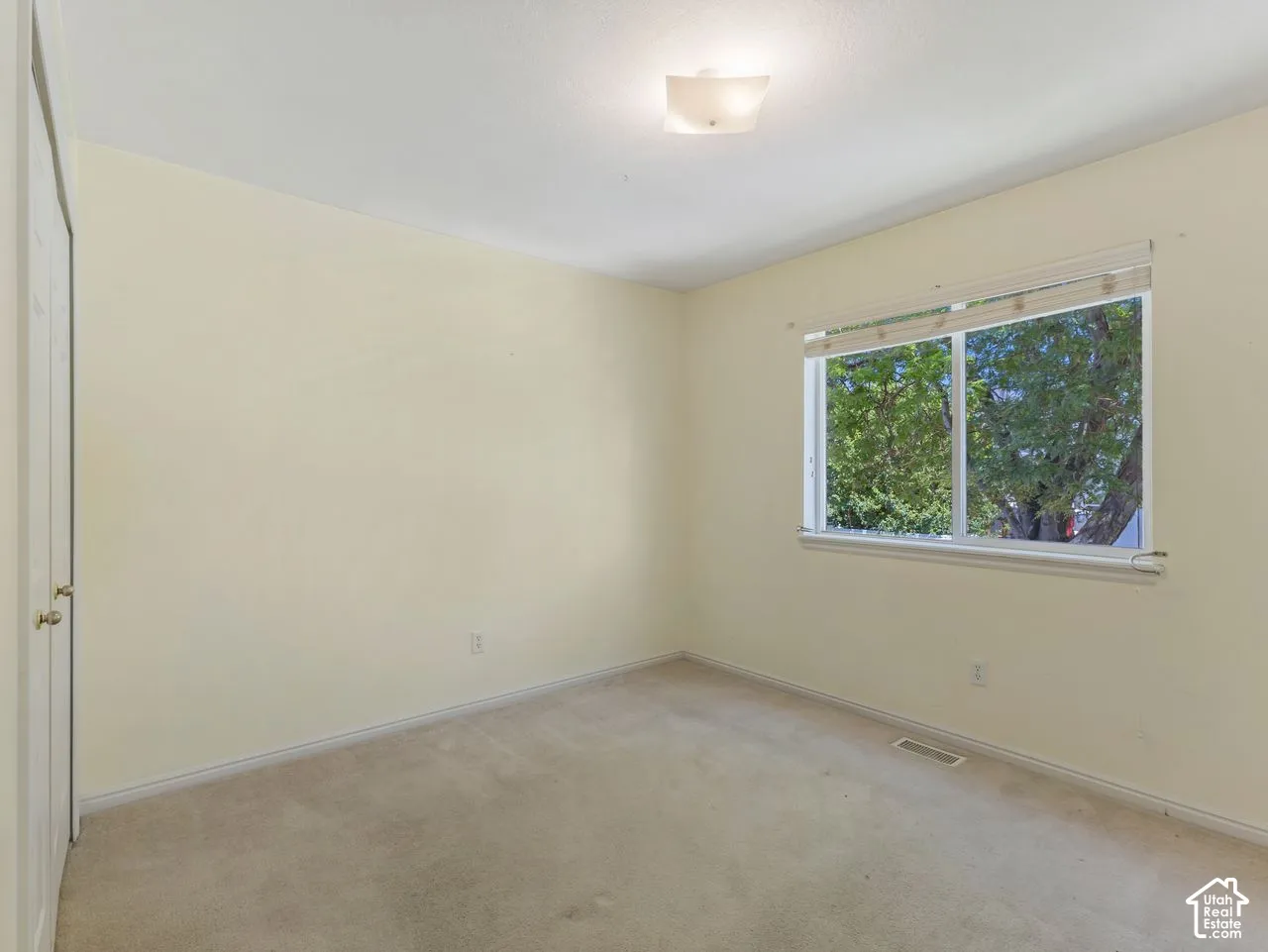 Neutral wall tones with carpet flooring