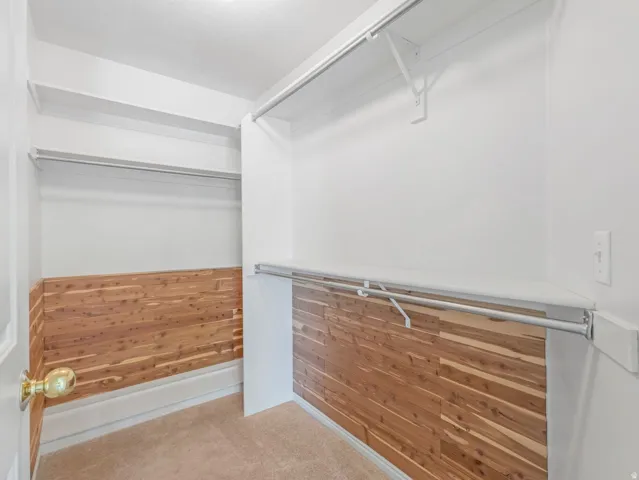 Walk-in closet featuring cedar plank wall accents, multiple clothing rods, integrated shelving, and neutral carpeting