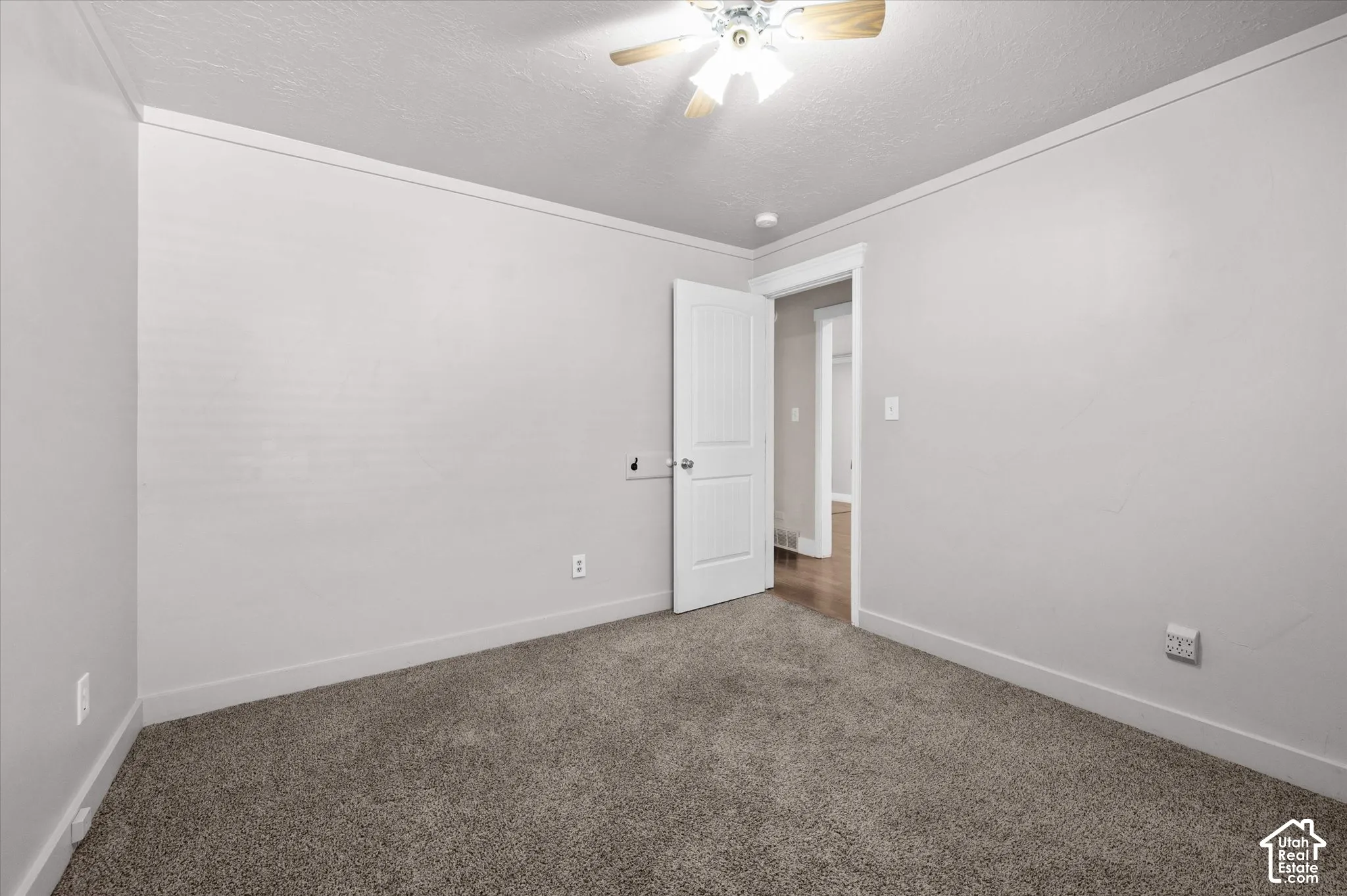 Plush carpet flooring, ceiling fan, white trim, and a paneled interior door