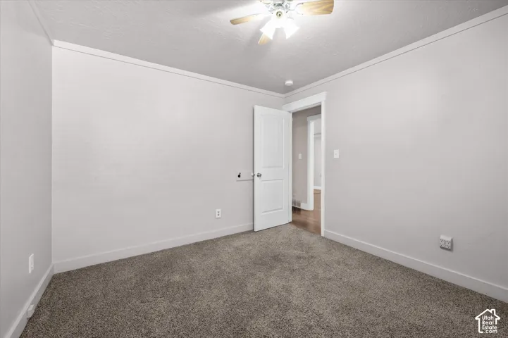 Plush carpet flooring, ceiling fan, white trim, and a paneled interior door