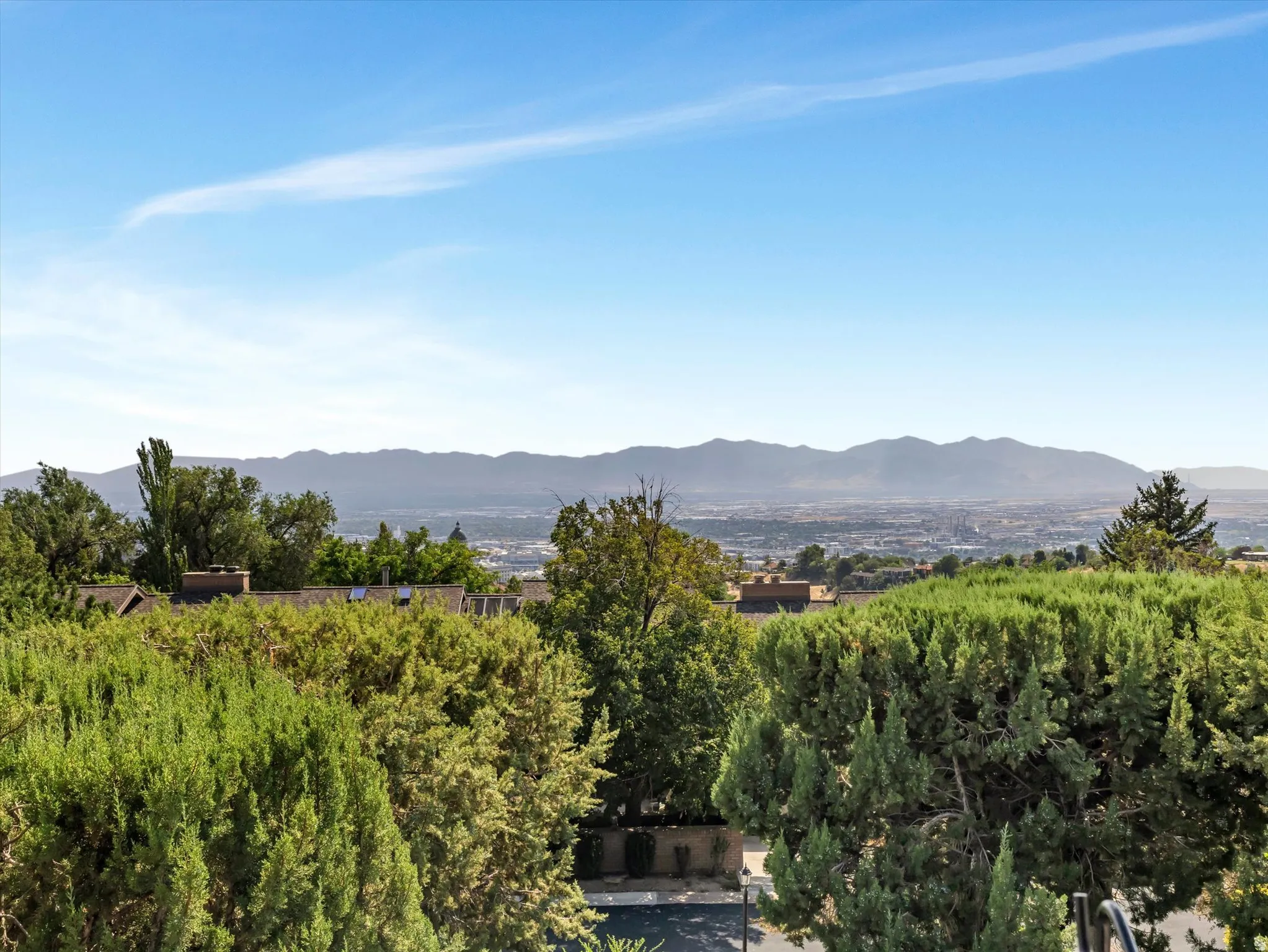 Mature tree-lined landscape with lush greenery and distant mountain backdrop