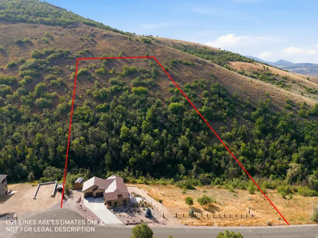 Expansive hillside property featuring diverse terrain, mature trees, and natural vegetation