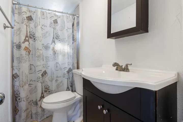 Bathroom featuring a dark wood-finish vanity with an integrated white sink and a wall-mounted mirror cabinet