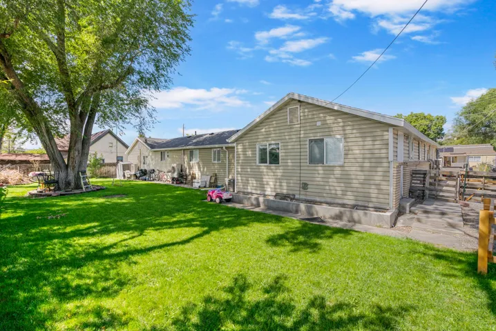 Expansive lawn area featuring a large mature tree with substantial canopy