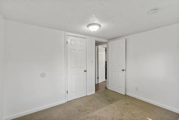 Carpeted room with a ceiling-mounted light fixture, two white paneled doors, and a ceiling-mounted smoke detector