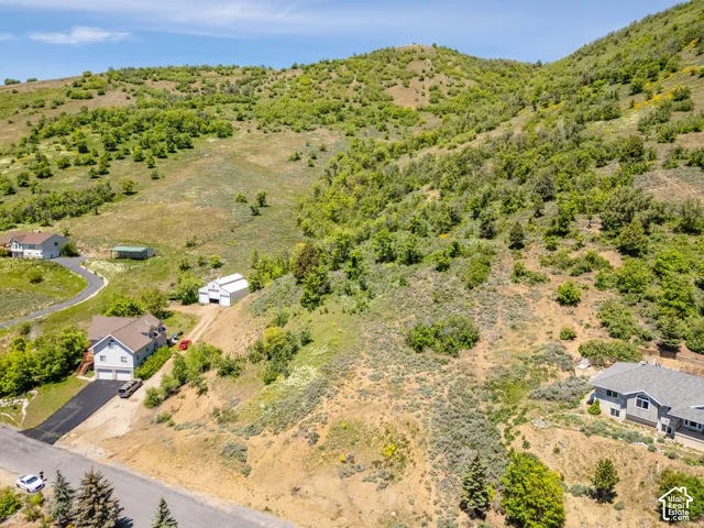 Expansive hillside property featuring mature foliage and a paved driveway