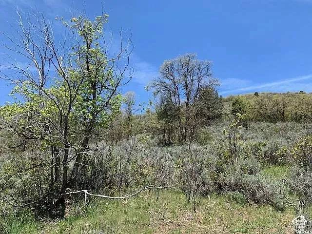 9658 E Kelley Dr, Huntsville, Utah 84317