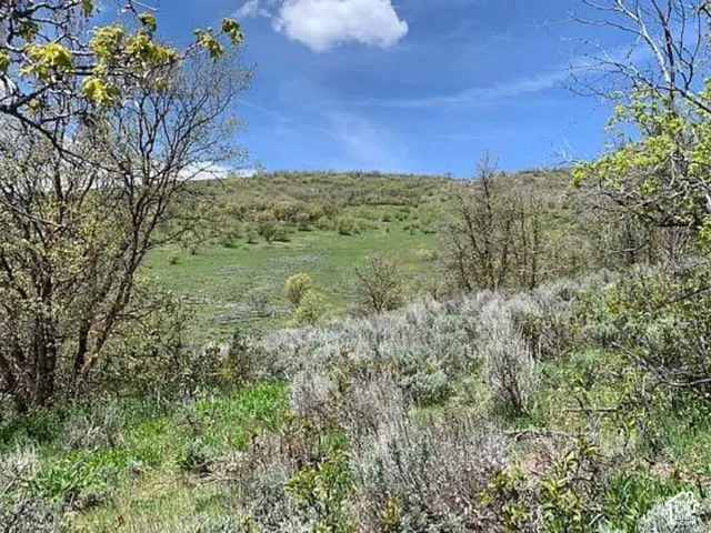 9658 E Kelley Dr, Huntsville, Utah 84317