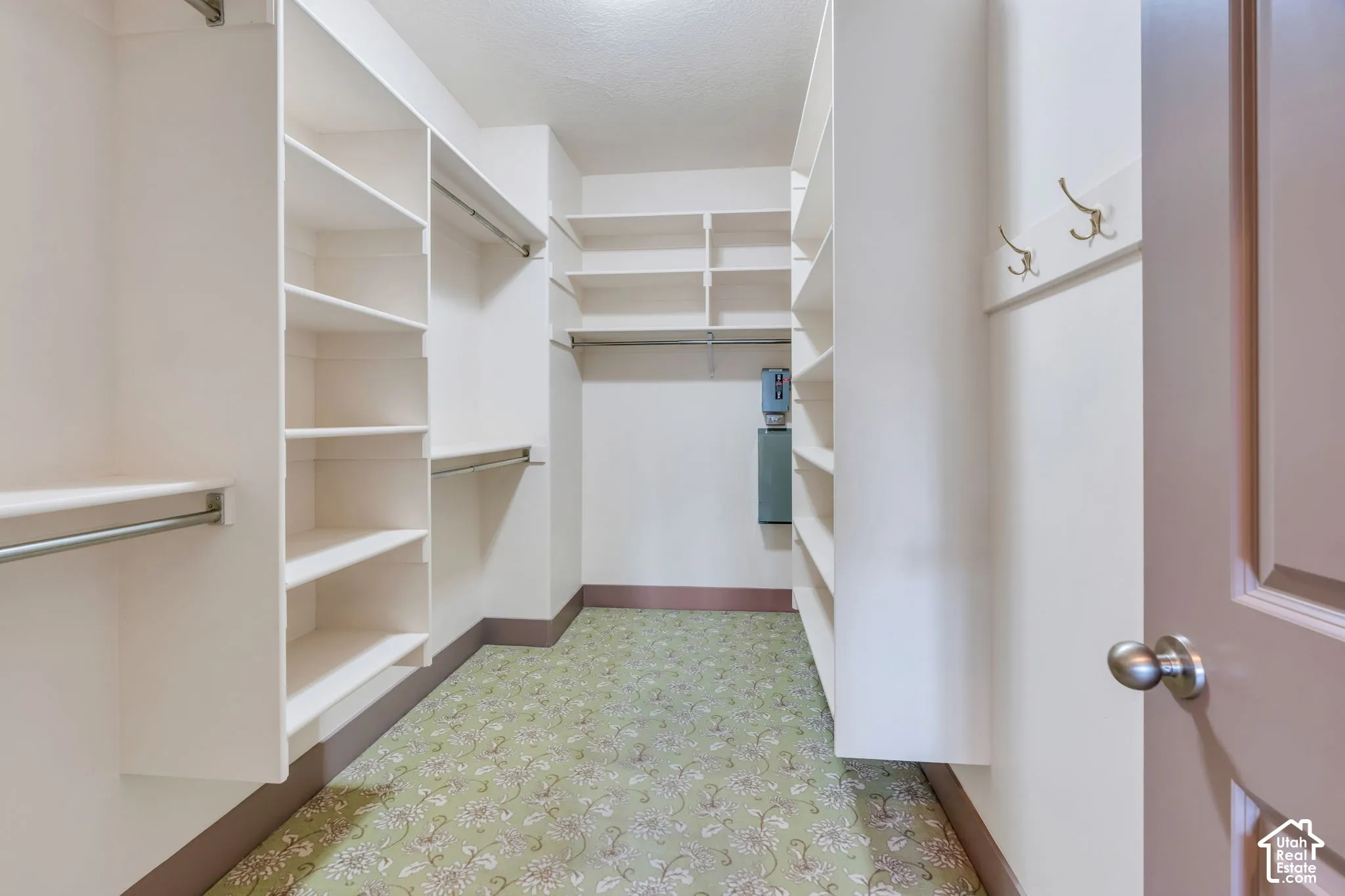 Walk-in closet featuring extensive built-in shelving, multiple hanging rods, patterned green carpet, and a paneled interior door with a brushed nickel knob