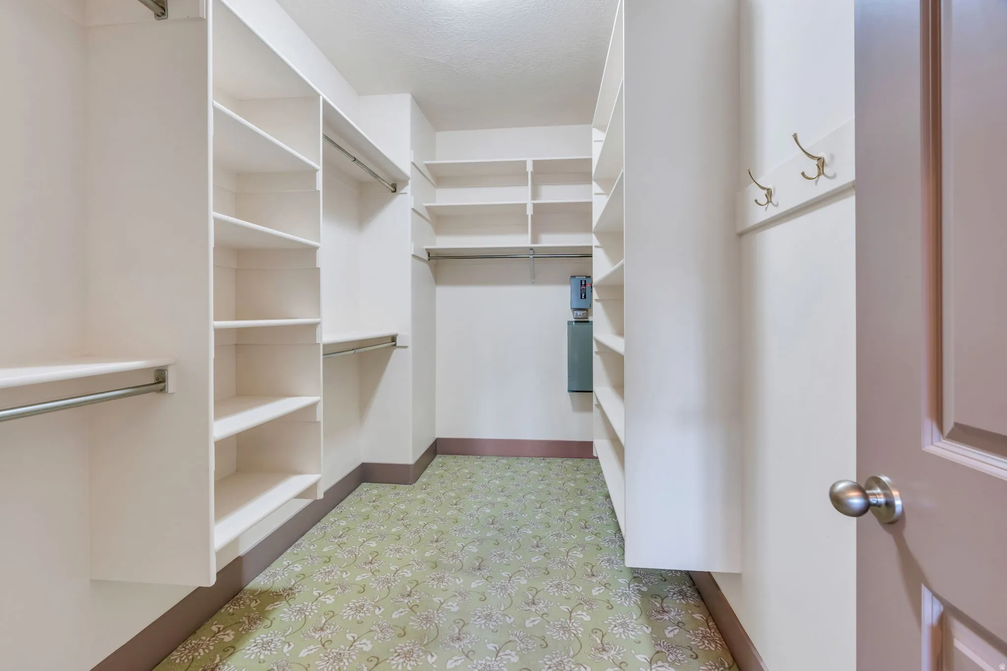 Walk-in closet featuring extensive built-in shelving, multiple hanging rods, patterned green carpet, and a paneled interior door with a brushed nickel knob