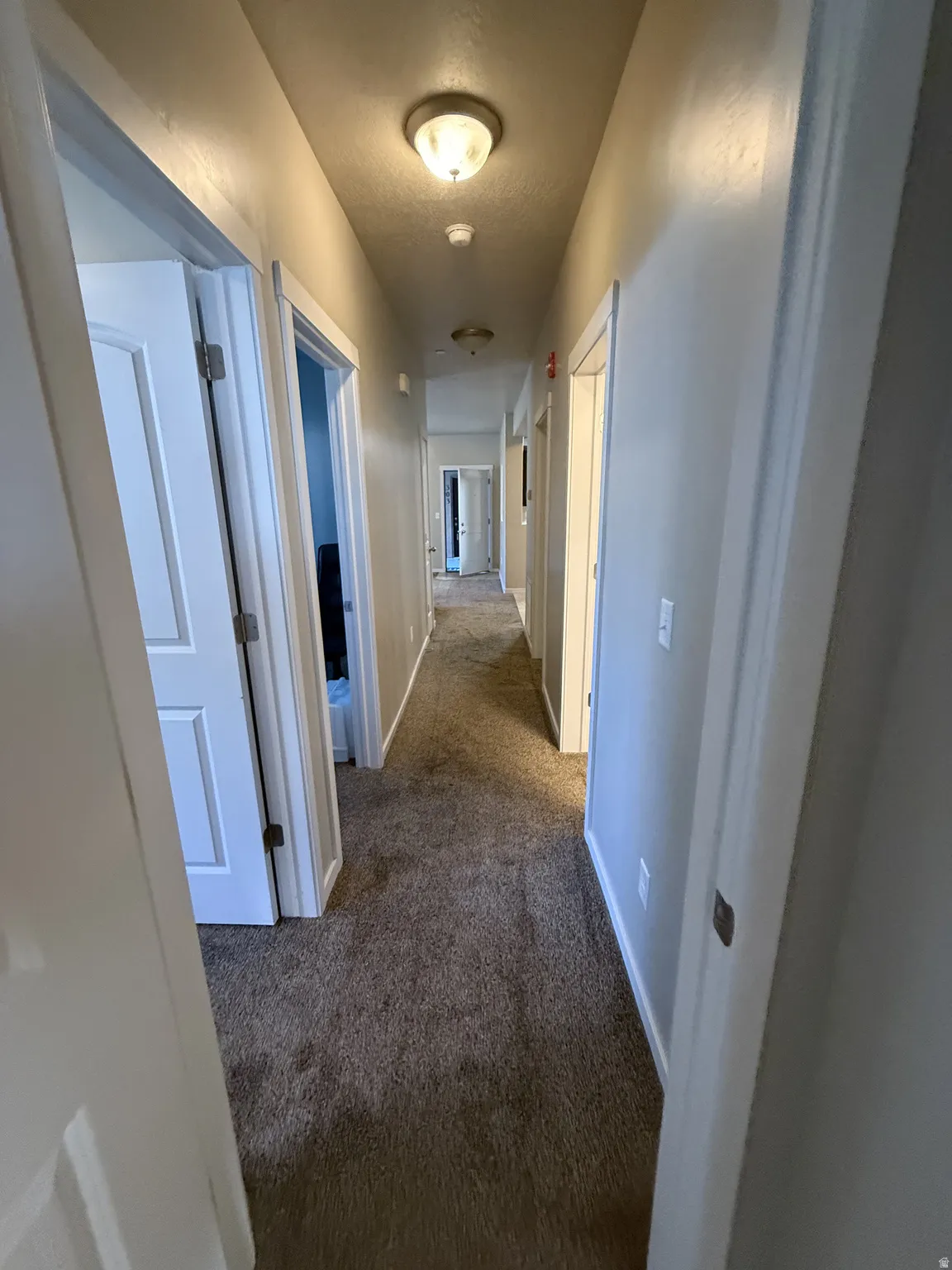 Carpeted hallway featuring multiple white paneled doors and ceiling-mounted flush lighting fixtures