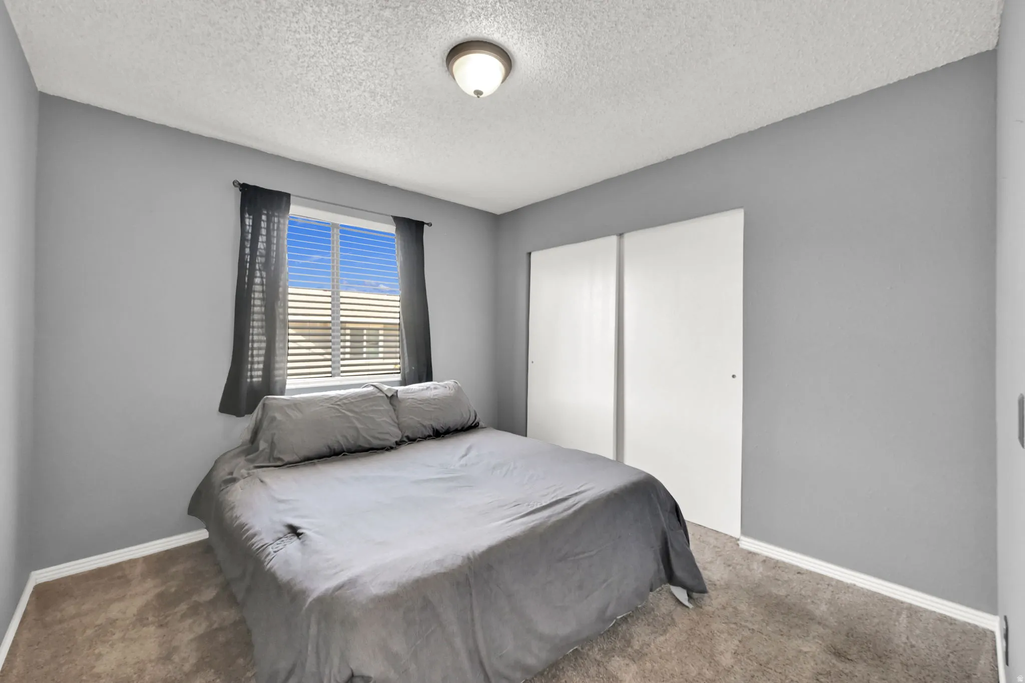 Recessed window with blinds, two sliding closet doors, ceiling-mounted light fixture, and carpet flooring