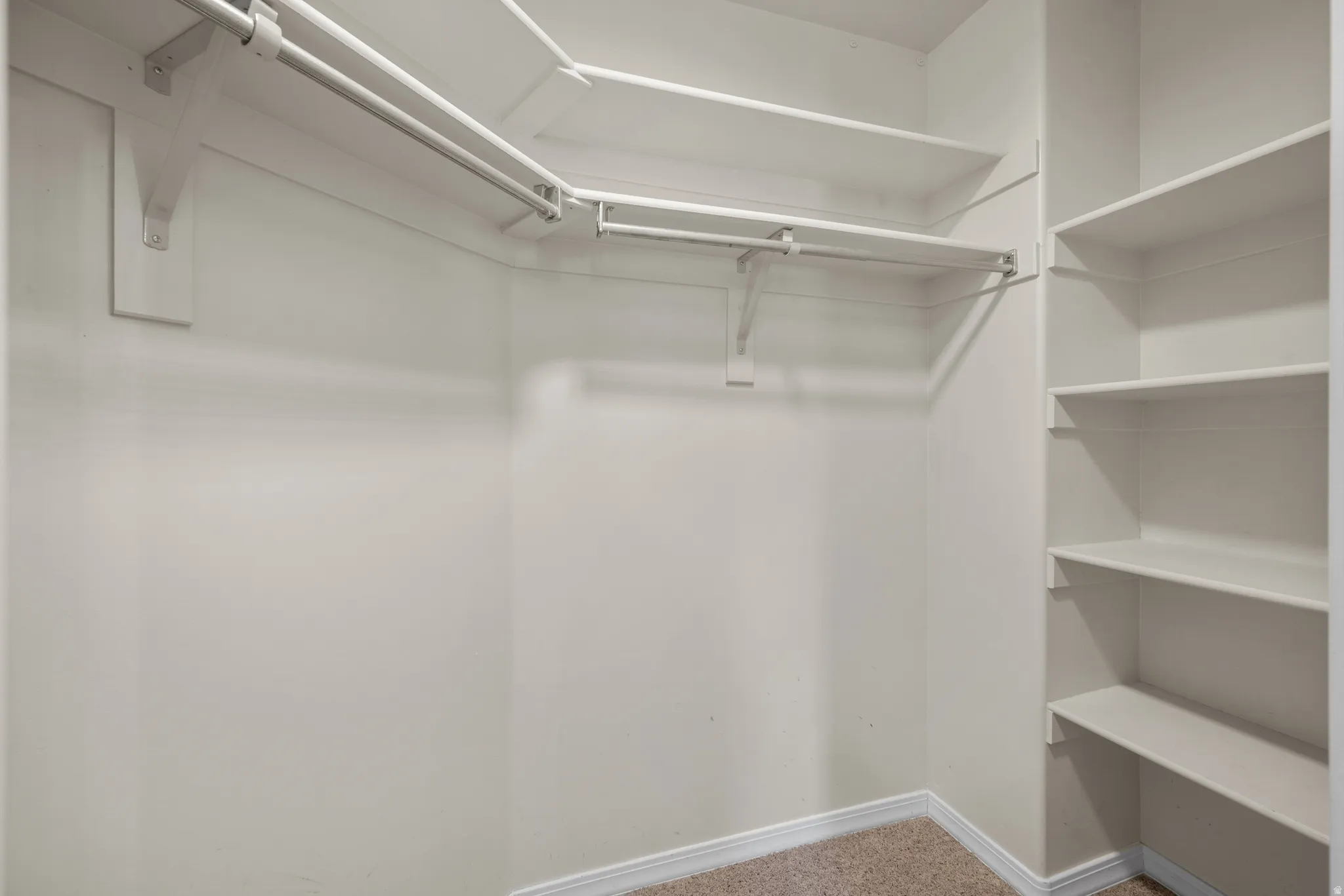 Spacious walk-in closet featuring double hanging rods with integrated lighting, built-in shelving along the side wall, and carpeted flooring