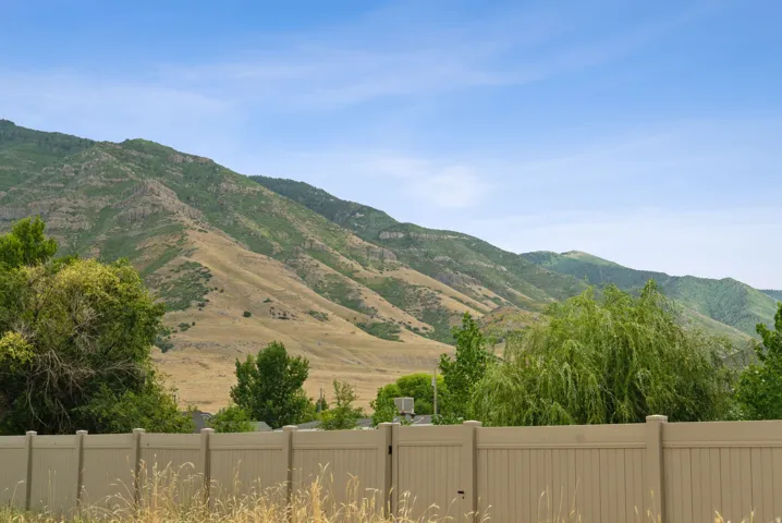 Tan privacy fence with a mountainous backdrop featuring varied green and tan vegetation under a clear sky