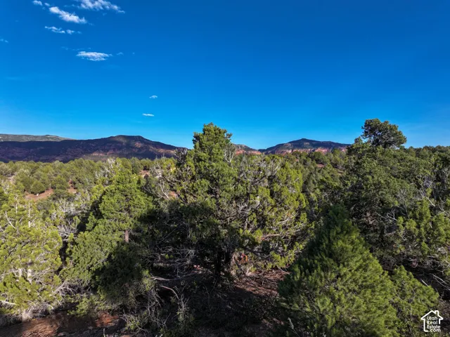 Expansive parcel featuring mature juniper trees and rugged mountain backdrops