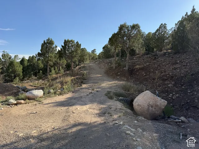 Unimproved lot featuring natural topography, mature juniper trees, and native vegetation