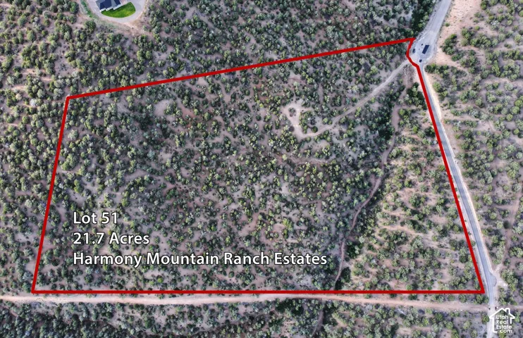 Aerial view of a 21.7-acre parcel featuring native vegetation and direct road access