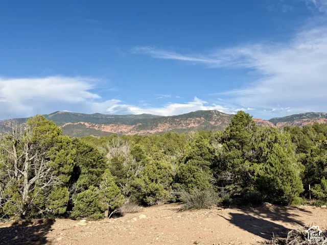 Expansive lot featuring native juniper trees and mountain topography