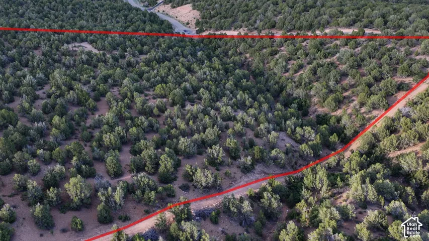 Aerial view of expansive acreage characterized by mature juniper trees, undulating terrain, and established dirt road access